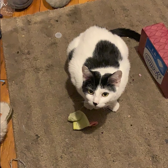 Not selling - Picture 2 of 2